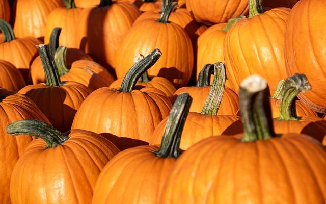 Revitalizing a Community: How a Pumpkin Patch is Bringing Joy to Local Kids