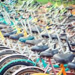 Road Trip of a Lifetime: A Teen and His Mom’s Inspiring Adventure