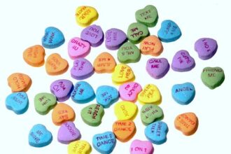 Don’t Miss These Thrilling Author Events This November: Meet Your Favorite Writers!