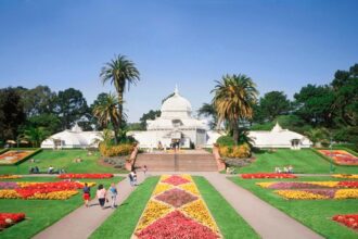 Arrest Shakes Community After Disturbing Sexual Battery Incident at Golden Gate Park