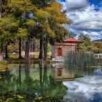 Voices Unheard: Ex-Detainees Reveal the Challenges of Language Barriers in ICE Custody