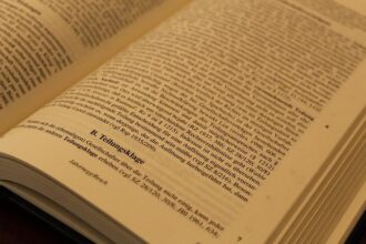 British Journalist Set to Be Freed from Immigration Detention, Civil Rights Advocates Report