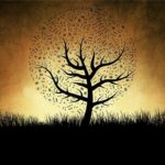 Immerse Yourself in Nature’s Magic: Gautier Capuçon’s Spellbinding ‘Gaia’ Performance at Davies Hall