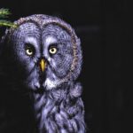 Rising BART Ridership: Will Financial Hurdles Hold It Back?