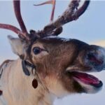 British Journalist Sami Hamdi Triumphantly Returns Home After Harrowing Immigration Detention