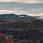 Get Ready for a Frosty Thanksgiving: Winter-Like Chill Hits the Bay Area!