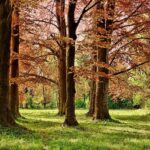 Menlo Park Schools Say No to Popular E-Bikes: What This Means for Students