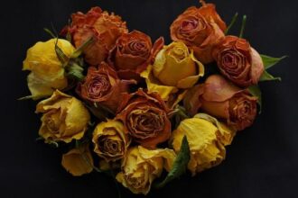 Anthropic Unveils New San Francisco Office in Search of a Permanent Headquarters!