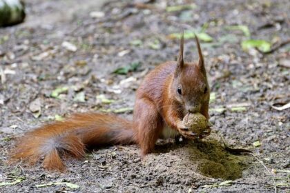 State AG Rob Bonta Caught in Controversy Over Alleged Compromising Video Involving Sheng Thao