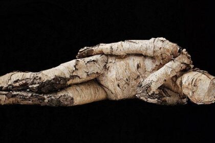 Public Outrage: Man Exposed in Disturbing Incident Outside Berkeley High School