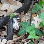 Heartbreaking Home Invasion in San Francisco: Victim Identified as Suspect Faces Murder Charges