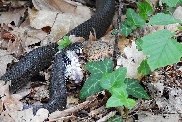 Heartbreaking Home Invasion in San Francisco: Victim Identified as Suspect Faces Murder Charges