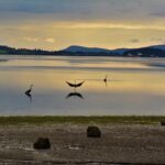 Thrilling New Changes Coming to 4101 3rd Street in Bayview, San Francisco!