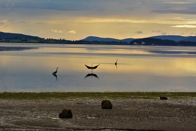 Thrilling New Changes Coming to 4101 3rd Street in Bayview, San Francisco!