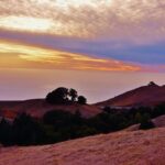 Discover the Hidden Talents of Marin County Employees at the 25th Annual Arts and Crafts Fair!