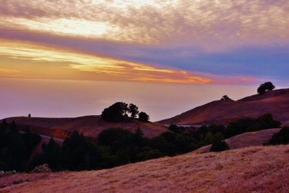 Discover the Hidden Talents of Marin County Employees at the 25th Annual Arts and Crafts Fair!