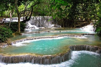 Thanksgiving Cheer: Tad Boyle and Chris Gerlufsen Spread Holiday Joy!