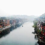 Joaquin Phoenix Champions Student in Bold Stand Against ‘Chicken Rescue’ Conviction