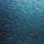 Unprecedented Earthquake Swarm Shakes San Francisco Bay Area with Powerful Tremors!