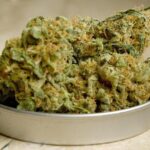 Demand for Stricter Narcotics Oversight Sparks After Shocking Firefighter Drug Theft Scandal