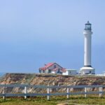 Experience the Magic of Point Arena’s Hometown Holidays: Shop, Celebrate with Santa, and Witness a Spectacular Tree Lighting!