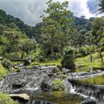 Santa Rosa Junior College: Fueling Economic Growth in Sonoma County