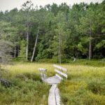 Heartbroken Father Urges Community to Unite and Heal After Stockton Tragedy