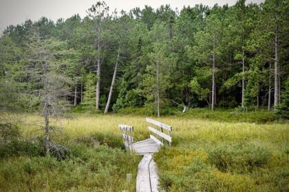 Heartbroken Father Urges Community to Unite and Heal After Stockton Tragedy