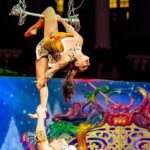 Cirque du Soleil Unleashes Wild Wonders: A Spectacular Showcase of Animal Artistry at the San Francisco Zoo!