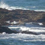 Discover the Magic of Mendocino County’s Breathtaking Natural Lake!