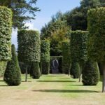 Rep. Kevin Kiley Introduces Exciting New Bipartisan Bill to Boost ACA Subsidies!