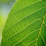 Discover the New Gem of Walnut Creek Yacht Club: A Legacy Reimagined!