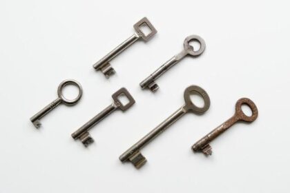 Blue Line Service Resumes After Successful Track Obstruction Clearance!