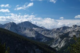 Join the Celebration: John Muir Health’s Joyful Festivities and Heartwarming Toy Drive!