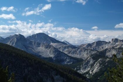 Join the Celebration: John Muir Health’s Joyful Festivities and Heartwarming Toy Drive!