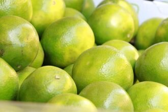 Major Breakthrough: Six Arrested in Connection with Notorious Safeway Theft Ring in SF and Oakland!