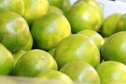 Major Breakthrough: Six Arrested in Connection with Notorious Safeway Theft Ring in SF and Oakland!