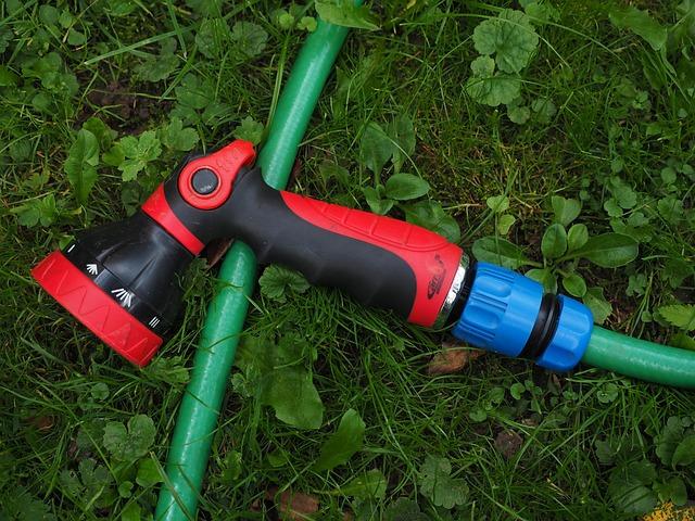 Brace Yourself for a Wild Friday: Showers, Thunderstorms, and Strong Winds on the Horizon!