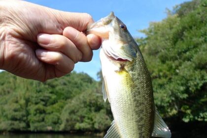 Grubhub Users Beware: Sophisticated Scams Demand Bitcoin Payments!