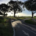 Unveiling the Thrilling Transformations and Challenges Ahead for San Francisco Parks by 2026!