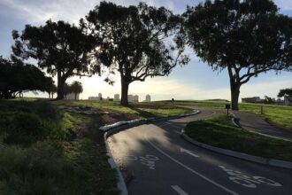 Unveiling the Thrilling Transformations and Challenges Ahead for San Francisco Parks by 2026!