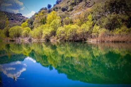 Former SF Supervisor Candidate Beya Alcaraz Faces Lawsuit Over Unpaid Rent