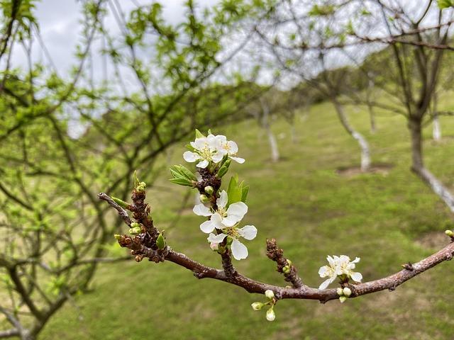 Tragic News: Tommy Lee Jones’ Daughter Discovered Unresponsive in San Francisco Hotel