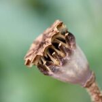 49ers Secure NFC’s No. 6 Playoff Spot: Epic Showdown with Eagles on the Horizon!