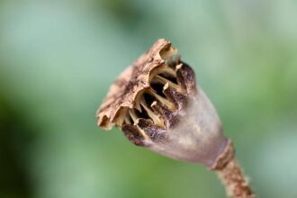 49ers Secure NFC’s No. 6 Playoff Spot: Epic Showdown with Eagles on the Horizon!