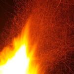 Devastating Fire Rips Through Marinwood Townhouse, Leaving Residents Homeless