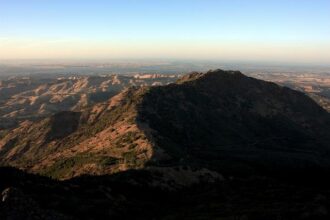 Winter Blaze: Mount Diablo State Park to Ignite Vegetation Pile Burns for Fire Safety