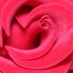 Pleasant Hill Police Triumphantly Recover 0,000 in Life Savings from 2022 Crypto Scam!