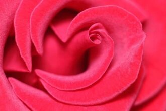 Pleasant Hill Police Triumphantly Recover 0,000 in Life Savings from 2022 Crypto Scam!