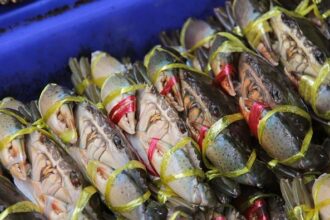 Savor the Flavor: Fresh Dungeness Crabs Now Available at Fisherman’s Wharf!